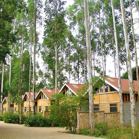 Hotel The Great Outdoors Uganda Vumba Exterior foto