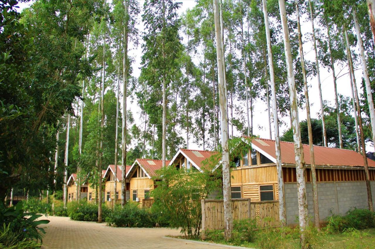 Hotel The Great Outdoors Uganda Vumba Exterior foto