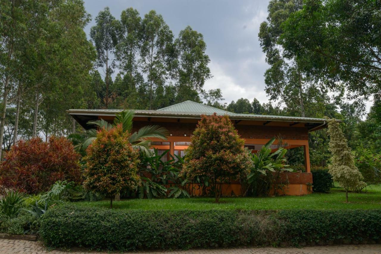 Hotel The Great Outdoors Uganda Vumba Exterior foto